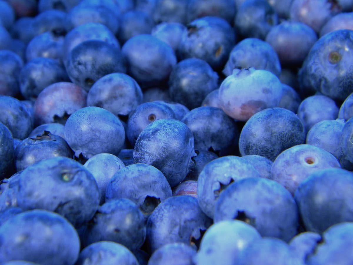 Inflammation and Alzheimer's Prevention: Foods That Protect Your Brain