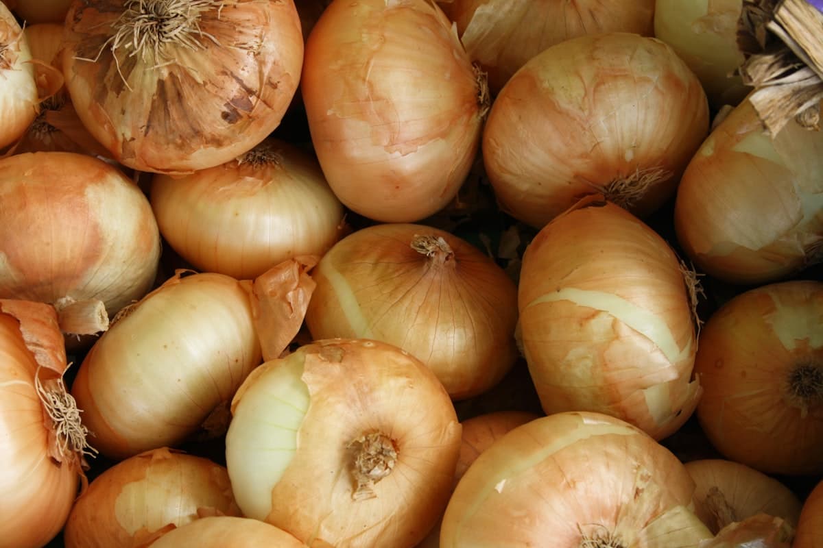 Nightshade Vegetables: Do They Actually Cause Inflammation?