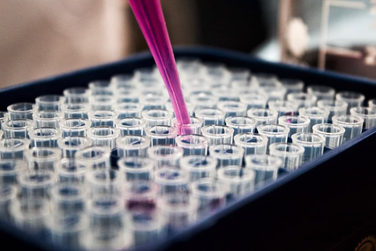 The Science Behind the Dietary Inflammatory Index